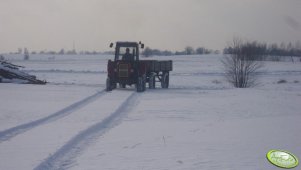 Ursus C-360 + Przyczepa 4t 