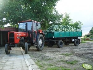 Ursus C-360 + przyczepa