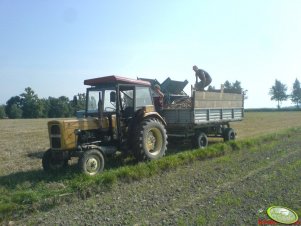 Ursus C-360 + przyczepa 