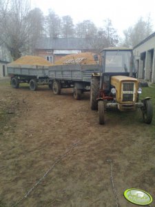 Ursus C-360 + przyczepy