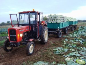 Ursus C-360 + przyczepy