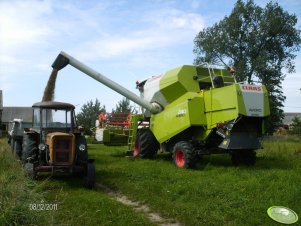 Ursus C-360 + Sanok  D-46 B & Claas Avero 240