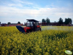 Ursus C-360 + Skotarek