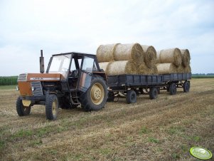 Ursus C-385 + przyczepy