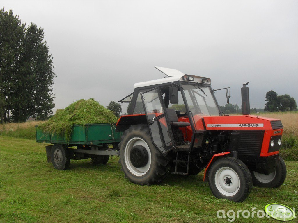 Fotografia Traktor Ursus C 385 303610 Galeria Rolnicza Agrofoto 8290