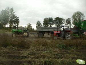 Ursus C-4011 i MF 255