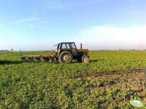 Ursus C-902 + pług 5-skibowy