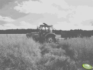 Ursus Mido 5524 + Przyczepa