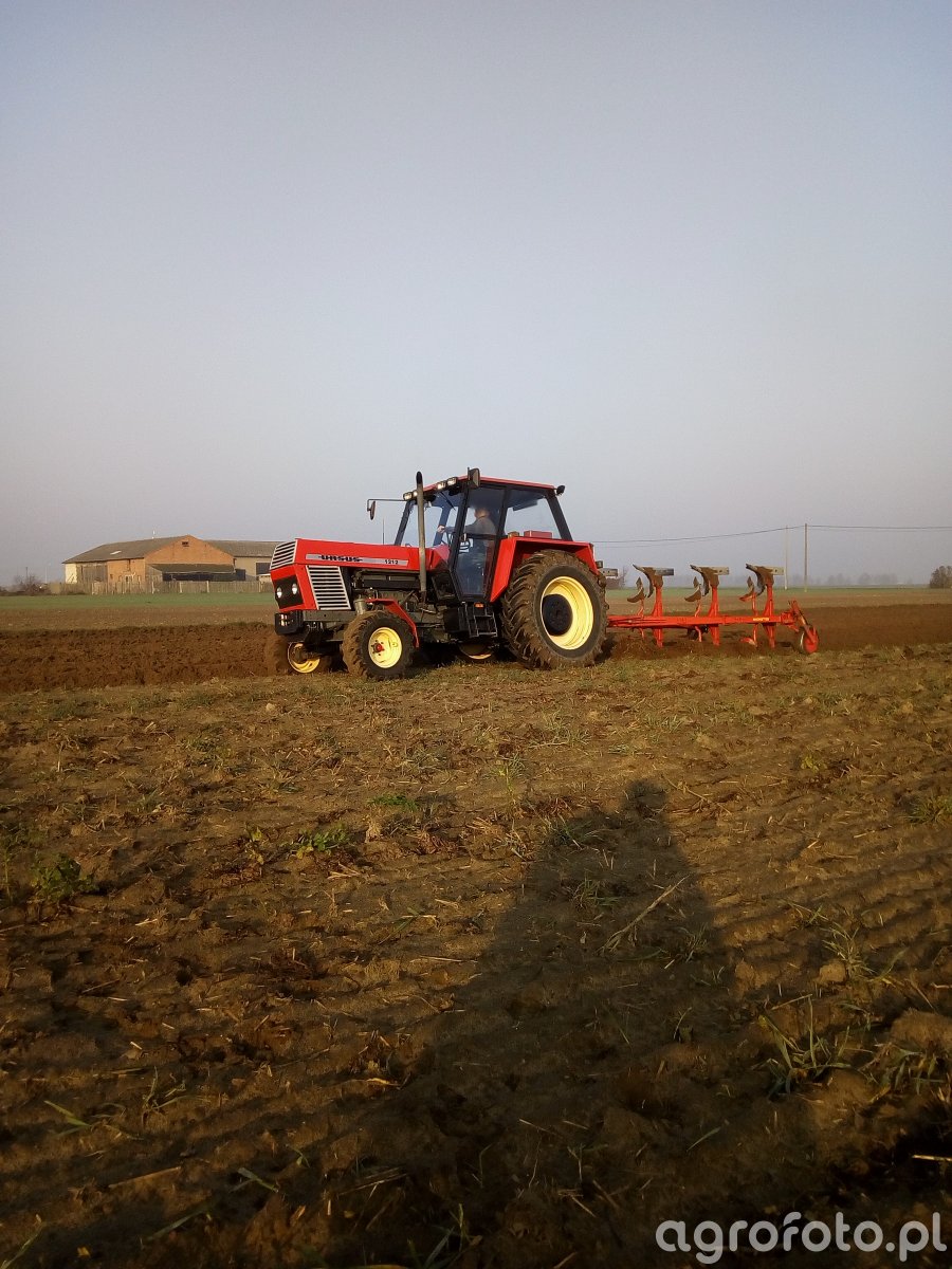 Ursus 1212 Pług Niemeyer Delta2 180