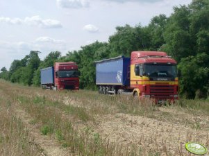 W oczekiwaniu na rzepak:)