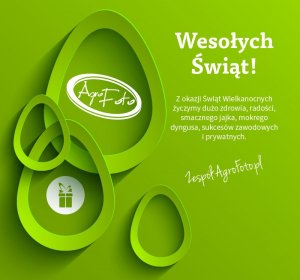 Wesołych Świąt