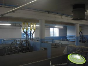 Widoczek na dyspensery na porodówce:))