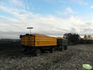 Wielton PRS-2/W8 i Autosan D 45