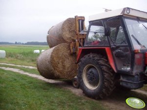 Wieża od raka