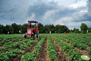 Wladimirec T-25-A + Obsypnik