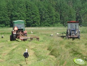 Władimirec T-25 i Ursus C-330M