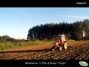 Wladimirec T-25A & Brony