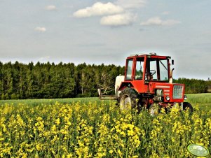 Władimirec T-25A + Pilmet Termit