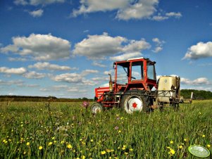 Władimirec T-25A + Pilmet Termit