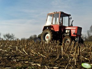 Wladimirec T-25A & Pług UG