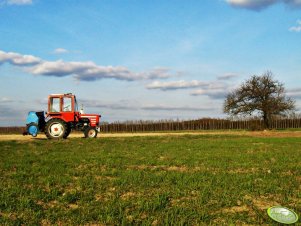 Władimirec T-25A + Poznaniak 2.7m