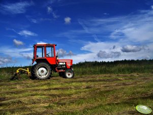 Władimirec T-25A + Przetrząsacz pokosów