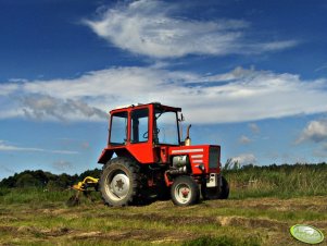 Władimirec T-25A + Przetrząsacz pokosów