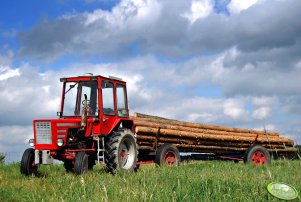 Wladimirec T-25A + Wóz 