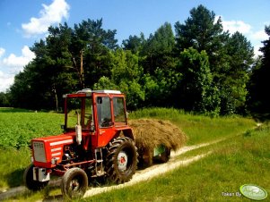 Władimirec T25A + dwukółka 