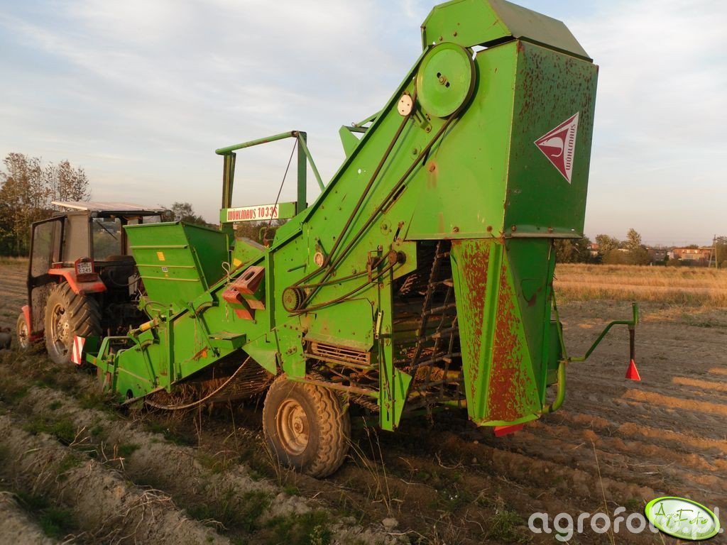 Wuhlmaus 1033 - Zdjęcie, Fotka, Foto Numer 242540 - Galeria Rolnicza ...