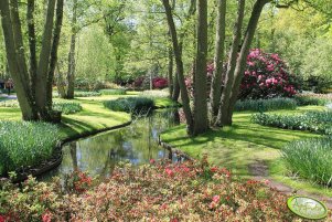 Wystawa kwiatów (Keukenhof, Holandia)