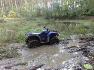 Yamaha Grizzly