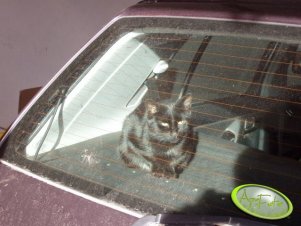 Żaden intruz sie nie dostanie... ;)