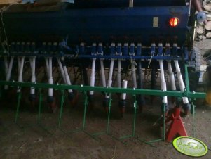 Zagarniacze w Poznaniaku