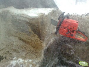 Zamarznięta kiszonka