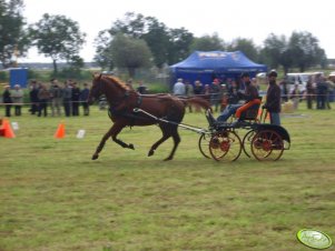 Zawody  Konne Pakosław 2007