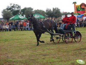 Zawody  Konne Pakosław 2007