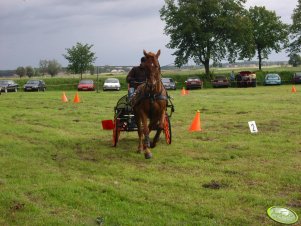 Zawody  Konne Pakosław 2007