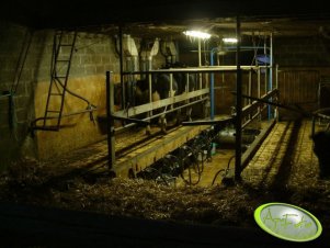 Zdjęcie zrobione na farmie francuskiej. Warunki higieniczne