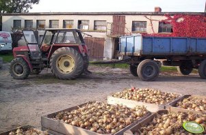 Zetor 10045 + HL