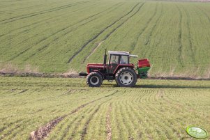 Zetor 10245 rozsiewa saletrę na jęczmieniu