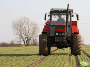 Zetor 10245 rozsiewa saletrę na jęczmieniu