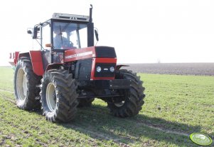 Zetor 10245 rozsiewa saletrę na pszenicy