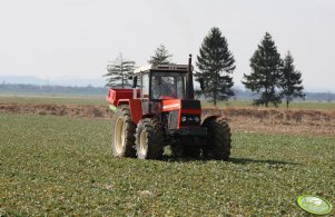 Zetor 10245 rozsiewa saletrę na rzepaku