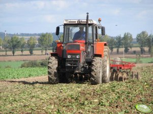 Zetor 10245 z brona talerzowa "ruska 3.7m"