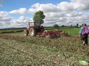 Zetor 10245 z brona talerzowa "ruska 3.7m"