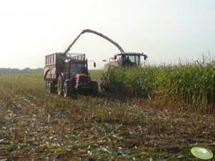 Zetor 10540 + przyczepa i Claas Jaguar 950