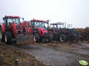 Zetor 11441, 6441 i 7245