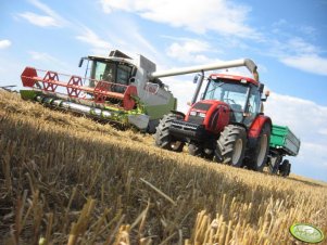 Zetor 11441 Forterra + HL6011