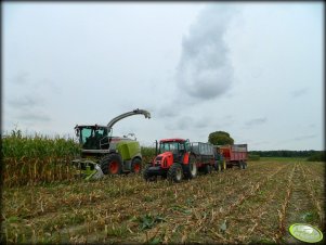 Zetor 11441 + IGAMET